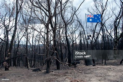 chanel 9 black saturday memorial 31 jan 2019|2009 Black Saturday Bushfires .